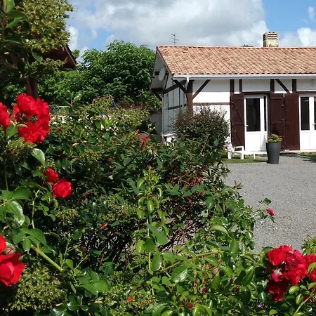Landais 3 Chambres Casa vacanze Pontenx-les-Forges